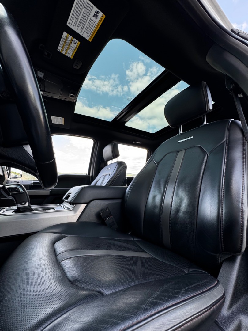 Ford F-150 4×4 PLATINUM Texas Edition