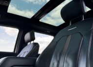 Ford F-150 4×4 PLATINUM Texas Edition