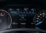 Ford F-150 4×4 PLATINUM Texas Edition