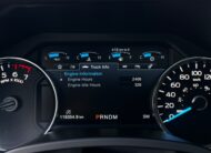 Ford F-150 4×4 PLATINUM Texas Edition