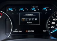 Ford F-150 4×4 PLATINUM Texas Edition