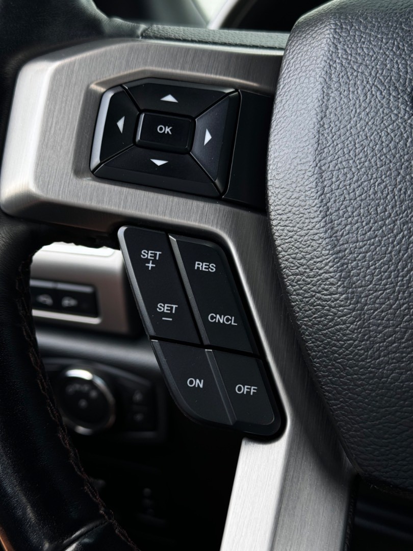 Ford F-150 4×4 PLATINUM Texas Edition