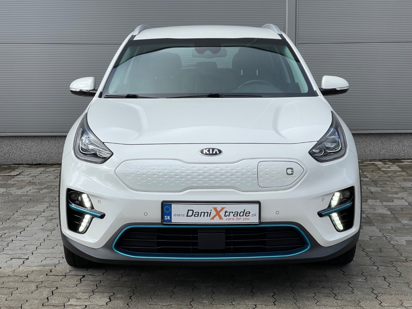 Kia Niro EV 64 kWh Gold