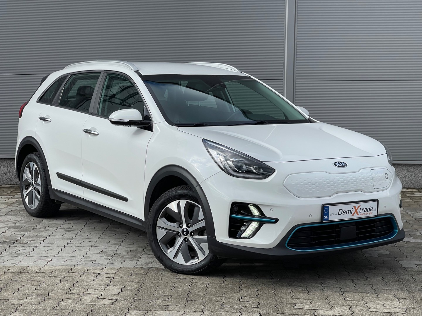 Kia Niro EV 64 kWh Gold
