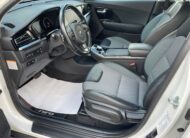 Kia Niro EV 64 kWh Gold