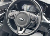 Kia Niro EV 64 kWh Gold