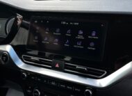 Kia Niro EV 64 kWh Gold
